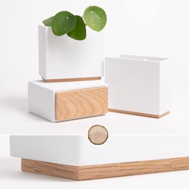 Настінні вази -Alma- Сучасні підвісні кашпо для квітів на стіну Набір кашпо з 3-х частин з високоякісної смоли для кімнатних росли