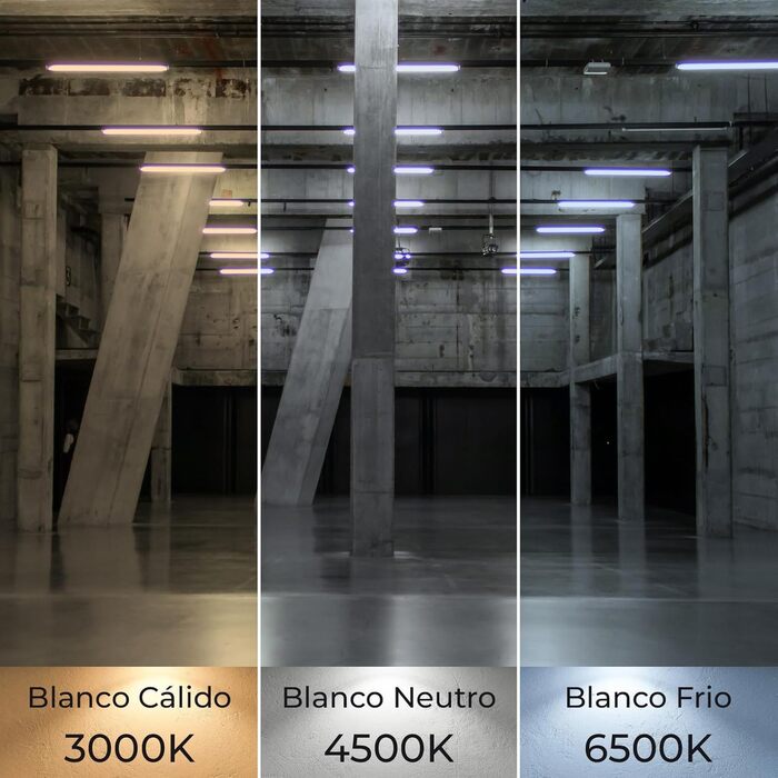 Пакет із 2 світлодіодних трубок 150 см, 24 Вт, CCT (селектор кольору теплий білий, нейтральний білий або холодний білий), 2900 люмен, стартер в комплекті, стандарт T8