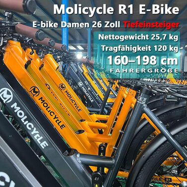 Жіночий електровелосипед R1 26 дюймів для трекінгу Step-Through, електровелосипед для міського використання зі знімним акумулятором 36 В 14,5 Аг, запас ходу до 110 км, гідравлічні дискові гальма, електровелосипед, що відповідає вимогам ЄС, для дорослих, с