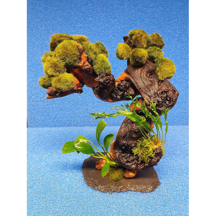 Дерево креветок 15 мохових кульок, засаджених папороттю та акваріумними рослинами Anubias (Mopani).