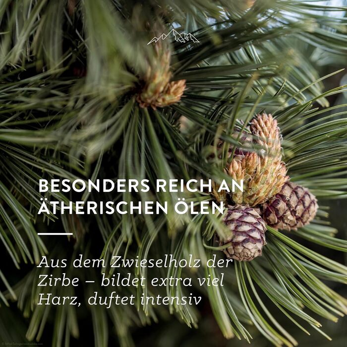 Подушка для голови AllguQuelle Natural Products з органічної швейцарської сосни зі 100 органічною стружкою швейцарської сосни (1000 г). Натуральна ароматизована подушка. Органічна подушка для голови, чиста та органічна.