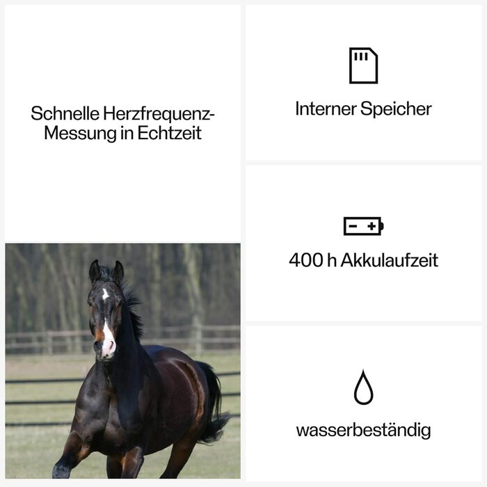 Коні, кінний спорт - Ручка з датчиком серцевого ритму H10