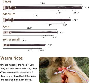 Комплект повідця та нашийника Зоряний Провідник, 1.8 м, м'яка плетенка зі шкіри, з регульованим нашийником для собак малих, середніх та великих порід (розмір М)