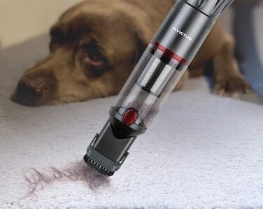 Ручний пилосос, ПП, нержавіюча сталь, антрацит, 28178