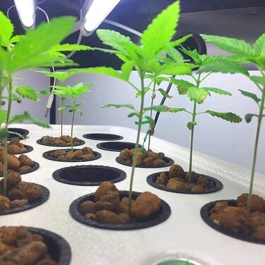 Сітка для рослин для гідропоніки, сітка для горщиків для гідропоніки, чашка для гідропоніки, пластик, чорний, 50 шт.