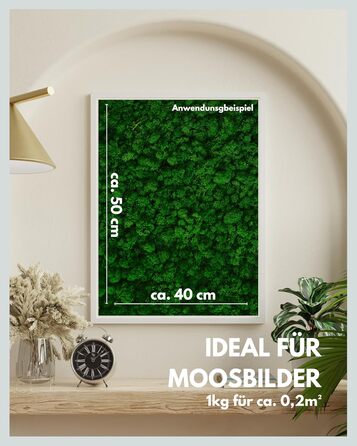 Ісландський мох збережений темно-зелений Прикраса з моху для рукоділля 1 кг справжнього декоративного ісландського моху для малюнків з моху та стін з моху