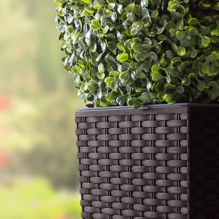 Квадратний квітковий горщик Prosper Plast drts300440U 28,7 x 28,7 x 55 см &39Rato&39 темно-коричневий (комплект з 12 предметів)