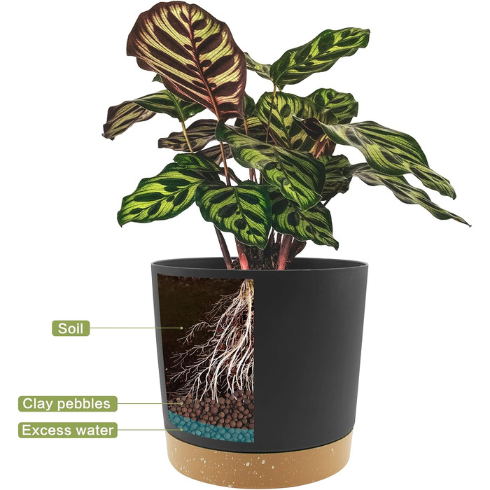 Квіткові горщики QCQHDU, 2 шт., 30,5 см, Квіткові горщики для кімнатних рослин з дренажними отворами та знімною основою, Сучасні декоративні блюдця для садових кашпо (темно-сірі, 30,5 см)