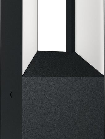 Стійкий вуличний LED-світильник EGLO Riforano, 2 лампи, 77 x 11 x 6 см, чорний