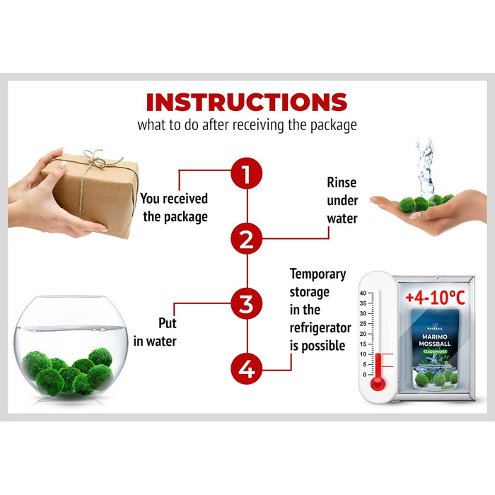 Ук моху, акваріумний мох, справжні мохові кульки для акваріумів, справжня кладофора, натуральні водні рослини для нано- та великих акваріумів, екологічно чисті та стійкі розміри кульок Marimo Moss Balls. 2-3 см, 1