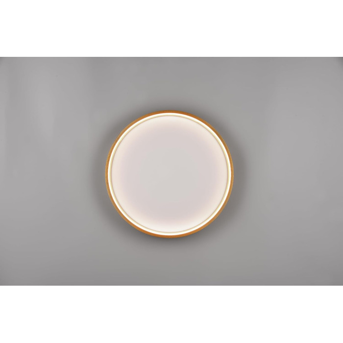 Стельовий LED-світильник Trio Leuchten Doha 641310208, матова латунь, акрил, LED 29 Вт
