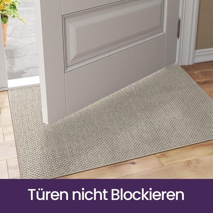 Килимок для внутрішніх дверей DEXI, що вловлює бруд, 60 x 90 см, нековзний килимок для миття, абсорбуючий килимок, тонкий вхідний килимок для вхідних дверей та коридору, бежевий 60 x 90 см
