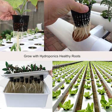 Дюймові (8 см) сітчасті горщики Гідропонічний сітчастий горщик з 12-футовим гнітом із самополивом і 12 шт. етикетками для рослин Гідропонний стакан Сітчастий горщик Овочева орхідея Аквапоніка Kratky Hydroponics, 12 шт., 3-