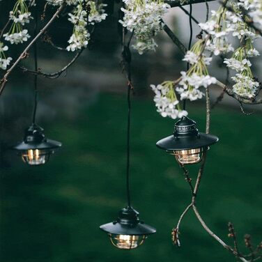 Підвісні гірлянди Barebones Edison - чорні, 3 світлодіодні лампочки в стилі Edison з 3-метровим кабелем, енергоефективні вуличні ліхтарі для патіо, саду або внутрішнього декору