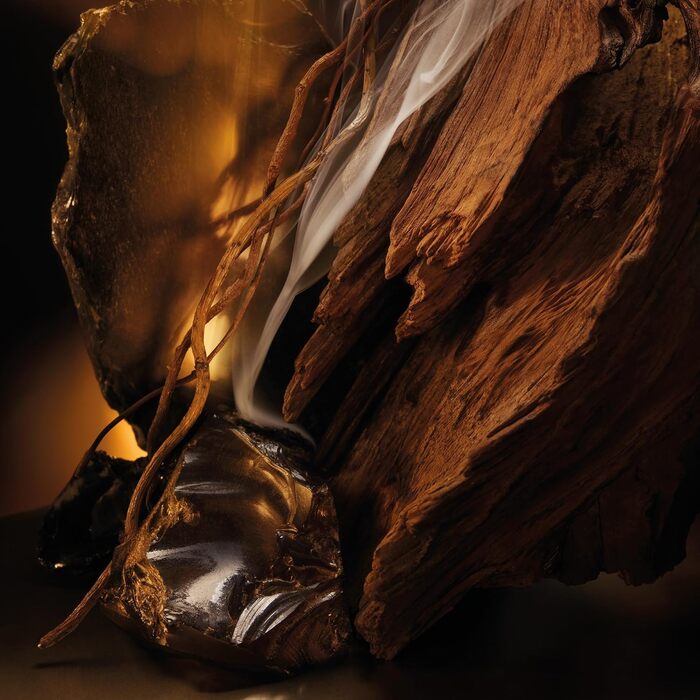 Туалетна вода Boss Bottled Elixir Parfum Intense (100 мл)