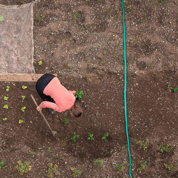 Шланг для поливу Relaxdays, 20 м, для грядок та живоплотів, плоский, готовий до підключення, з розпилювачем, зелений