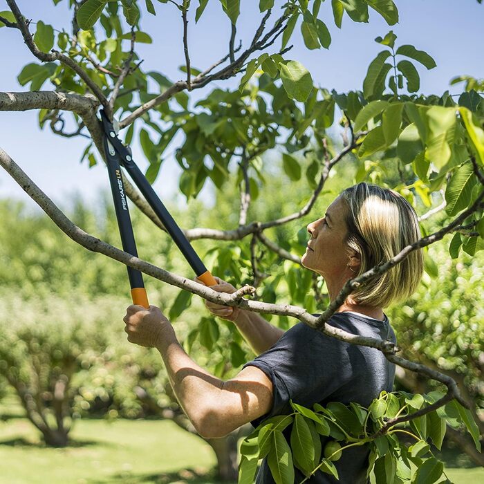 Садові секатори Fiskars PowerGear II з обвідним механізмом для свіжої деревини, з антипригарним покриттям, виготовлені з міцної інструментальної сталі, довжина 55 см, чорно-помаранчеві, L74, 1000582 L74 (діаметр гілок до 3,8 см)