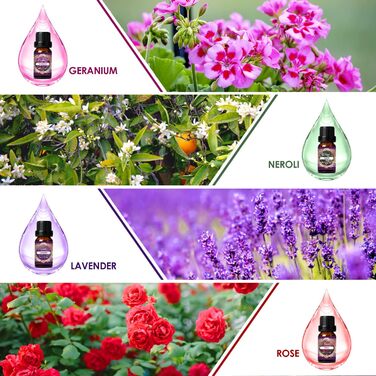 Набір квіткових ефірних олій SALUBRITO, квіткова ароматична олія для дифузора та виготовлення свічок - жасмин, гарденія, троянда, лаванда, герань, вишневий цвіт, фрезія тощо