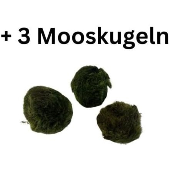 Набір акваріумних рослин SAHAWA, 3-6 рослин у горщиках, анубіас, папороть, стебла, кульки моху, горщики 5 см ( 13 3 рослини)