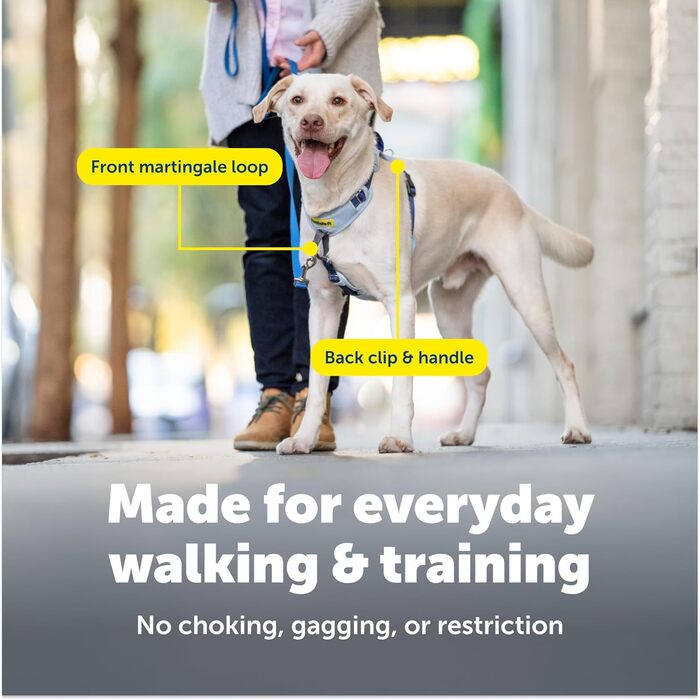 Шлейка проти смикання з мякою підкладкою для комфортних прогулянок, 5 точок регулювання, XS, для малих, середніх та великих собак, Синій/Чорний/Зелений/Рожево-Синій X-Small