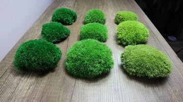 Збережений мох на вагу - Прикраса з моху для вас - Кулястий мох, збережений для вашого дому - Створіть картину з моху - підходить як моховий тераріум і ліси у склі (100 г світло-зеленого)