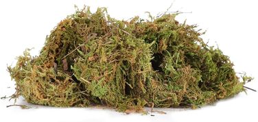 Субстрат Qukaim Mossfor Reptiles Reptile Terrarium Moss Green Sphagnum Moss для рептилій Натуральна прикраса для тераріумів 100 г