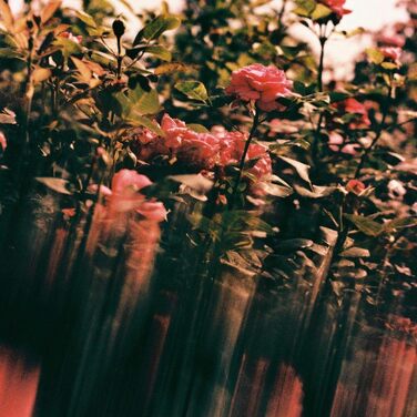 Портативний півколо-калейдоскоп Фільтр Спеціальні ефекти Фільтр обєктива камери Фільтр ефекту півкола Призма Оптична скляна призма Багаторазове заломлення Фотоаксесуари Фотореквізит (150 мм)