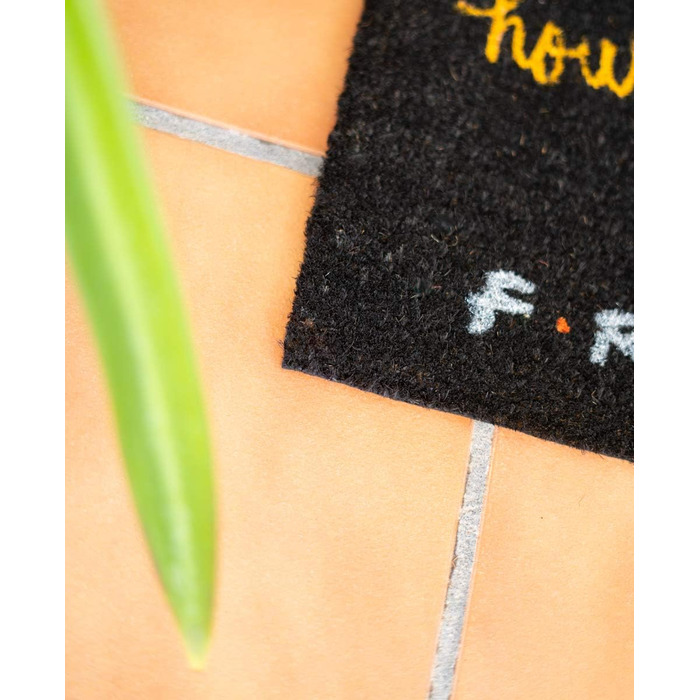 Килимок Grupo Erik Coconut Mat Килимок для дверей Friends How Do You Doin&39 - Килимок для бруду 40x60 см - Забавний килимок для дверей - Килимок для дверей в приміщенні How You Doin&39