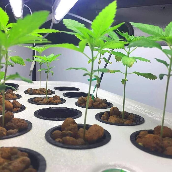 Сітка для рослин для гідропоніки, сітка для горщиків для гідропоніки, чашка для гідропоніки, пластик, чорний, 50 шт.