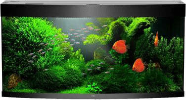 Акваріум Juwel 49260 NovoLux LED 60 білий