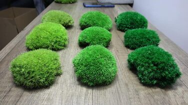 Збережений мох на вагу - Прикраса з моху для вас - Кульковий мох, збережений для вашого дому - Створіть картину з моху - підходить як моховий тераріум і ліси у склі (200 г темно-зеленого)