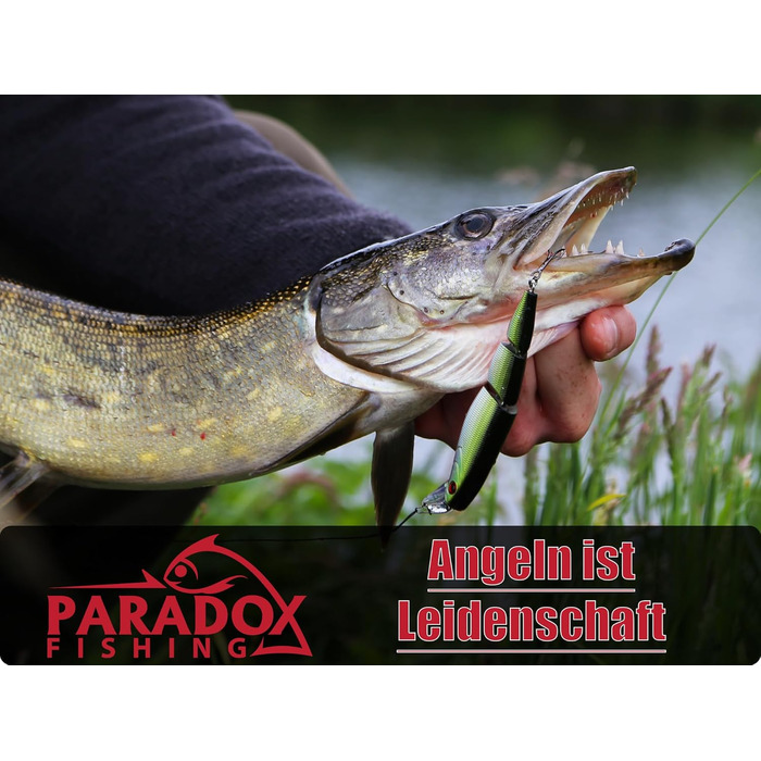 Плоскогубці для лову щуки Paradox Fishing 29 см I, щипці для зняття гачка Риболовні приналежності для риболовлі Риболовля на щуку - стійкі до корозії