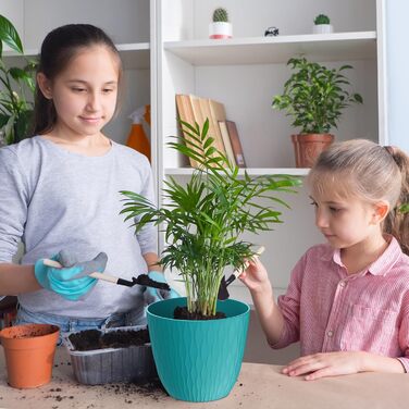 Набір з 5 квіткових горщиків із системою поливу, горщики для рослин діаметром 20,3 см із системою поливу, кашпо з блюдцем, набір квіткових горщиків, ідеально підходить для кімнатних та балконних садів, різнокольорові 8 дюймів