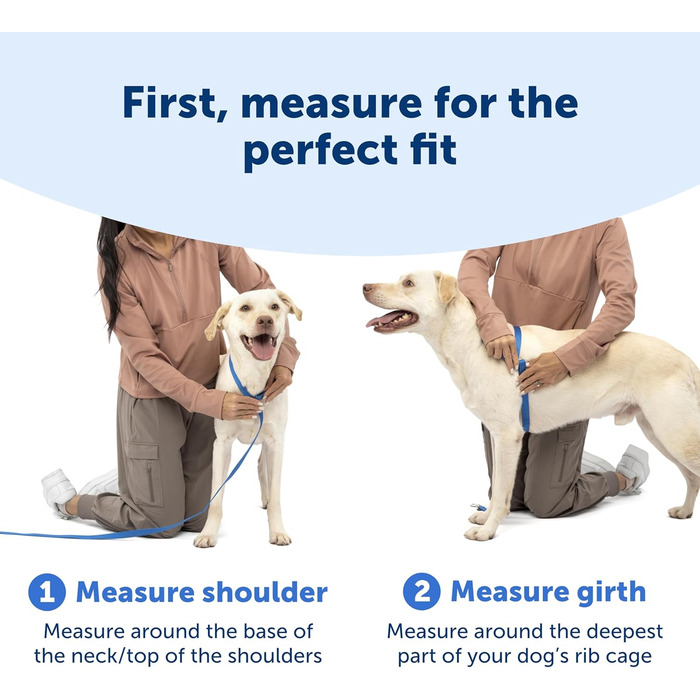 Шлейка проти смикання з мякою підкладкою для комфортних прогулянок, 5 точок регулювання, XS, для малих, середніх та великих собак, Синій/Чорний/Зелений/Рожево-Синій X-Small