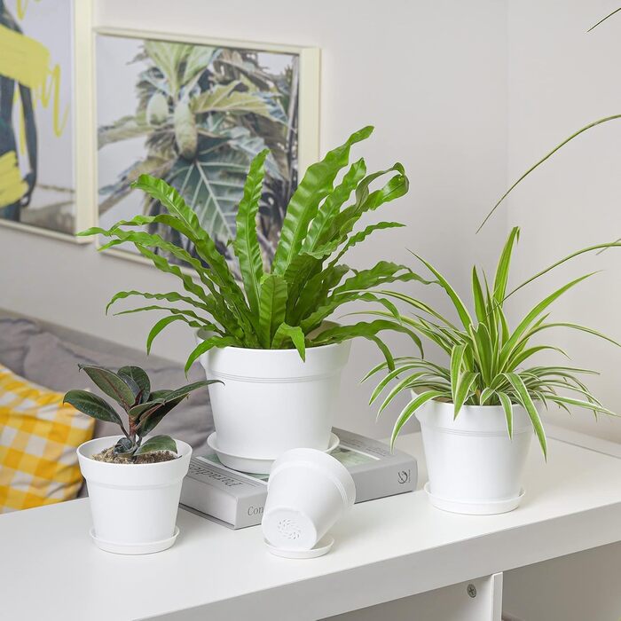 Пластиковий квітковий горщик 19 см з блюдцем, набір із 6 пластикових горщиків для трав з кількома дренажними отворами, круглий горщик для сукулентів у приміщенні та на балконі, білий/розкішний сад 19 см, 4U