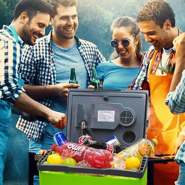 Літровий холодильник 2-в-1 Електричний холодильник Сумка-холодильник Ізольована сумка Термобокс Ящик для підігріву Автомобільний Кемпінговий Термохолодильник Gora Grey/Gilmo Green, 30-