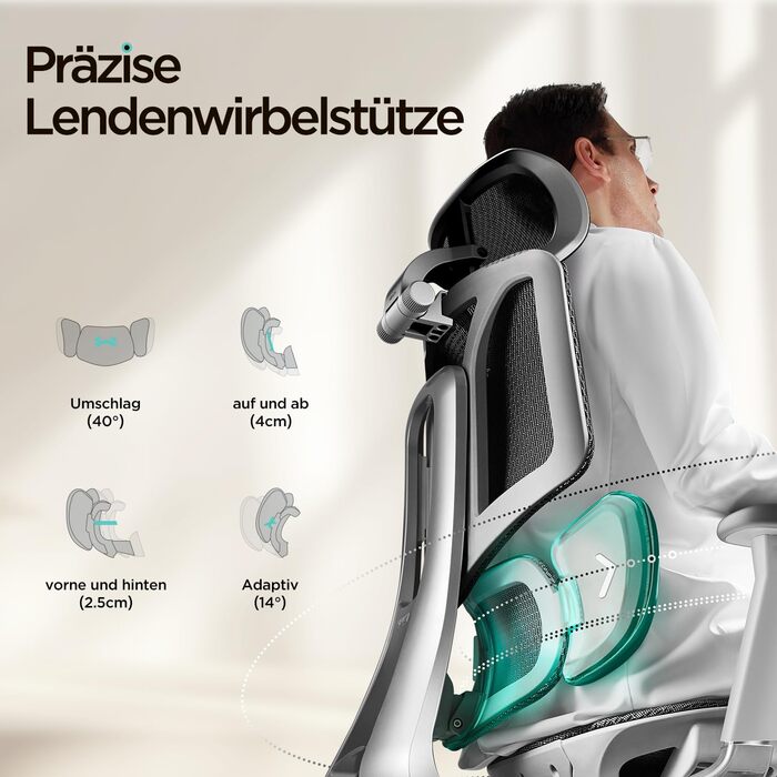 Ергономічне офісне крісло Hbada E3 Air з 3-зонною динамічною поперековою підтримкою, стілець для роботи з 3D-регульованим підголівником, 3D-регульованими підлокітниками, сірий колір E3 Air