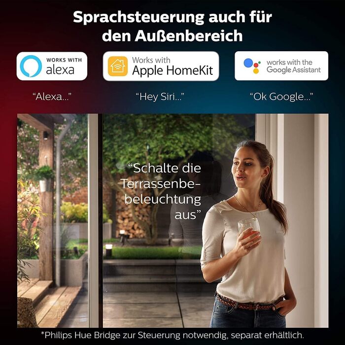 Настінний вуличний світильник Philips Hue Nyro White & Color Ambiance, 1020 лм, сріблястий
