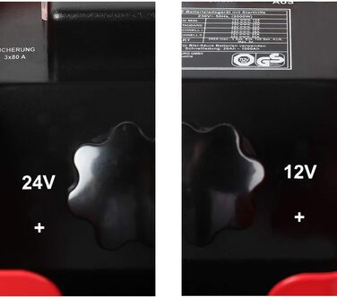 Автомобільний зарядний пристрій WALTER з функцією швидкого запуску 12 В/24 В, перемикач, потужний, чотири налаштування зарядного с