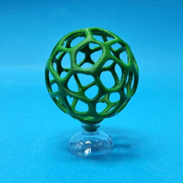 Мох (зелений)