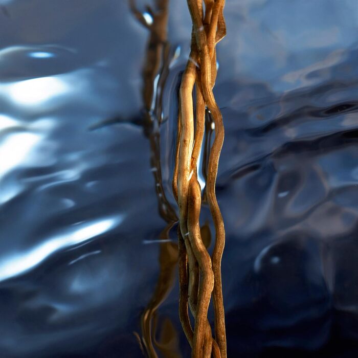 Чоловіча туалетна вода Davidoff Cool Water Reborn (75 мл)