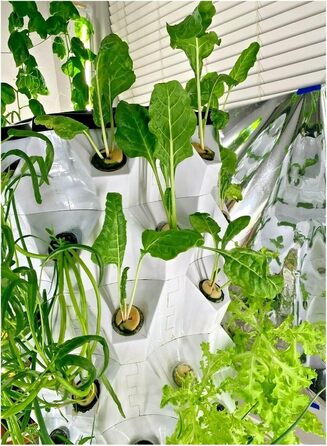 Гідропонний сад, система гідропоніки для вирощування аеропоніки. Плантатор для вирощування ананаса. Башта для внутрішнього саду. Пластикова теплиця. Безґрунтова посадка, спостерігайте за ростом рослин (10-шаровий план 80).