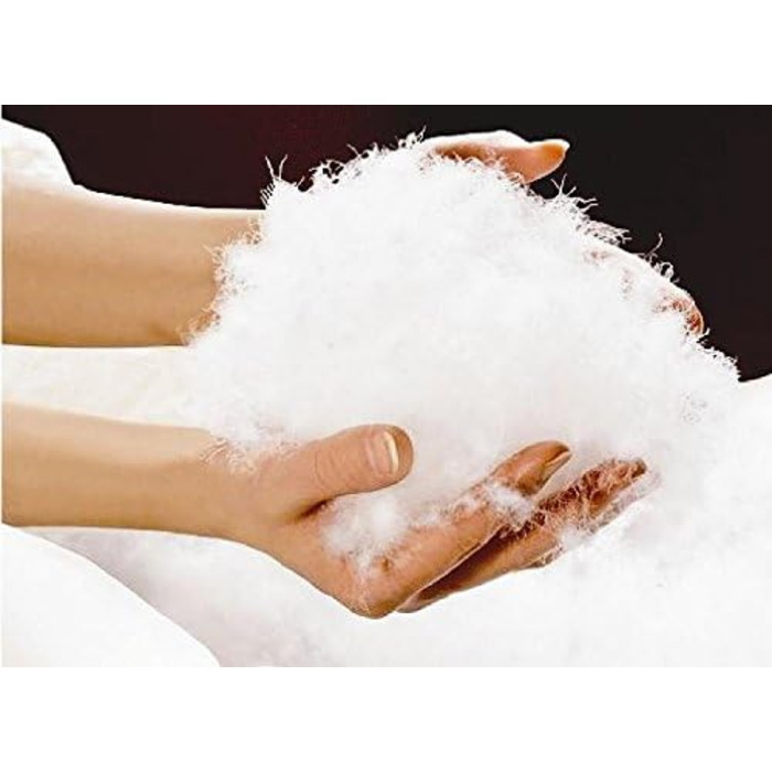 Пухова подушка betten-traum-land з гусячого пуху 100 Канадська гуска з наповнювачем 400 г, вага 40x80 см