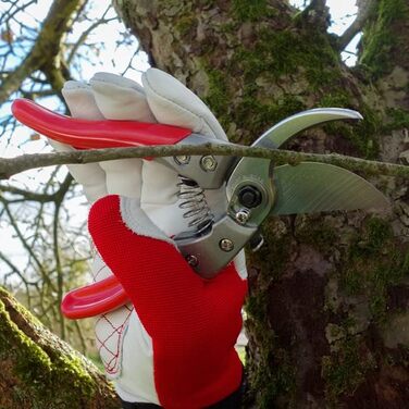 Ребшер, 1214-00, розмір M, 8 дюймів, одинарний, 8Z