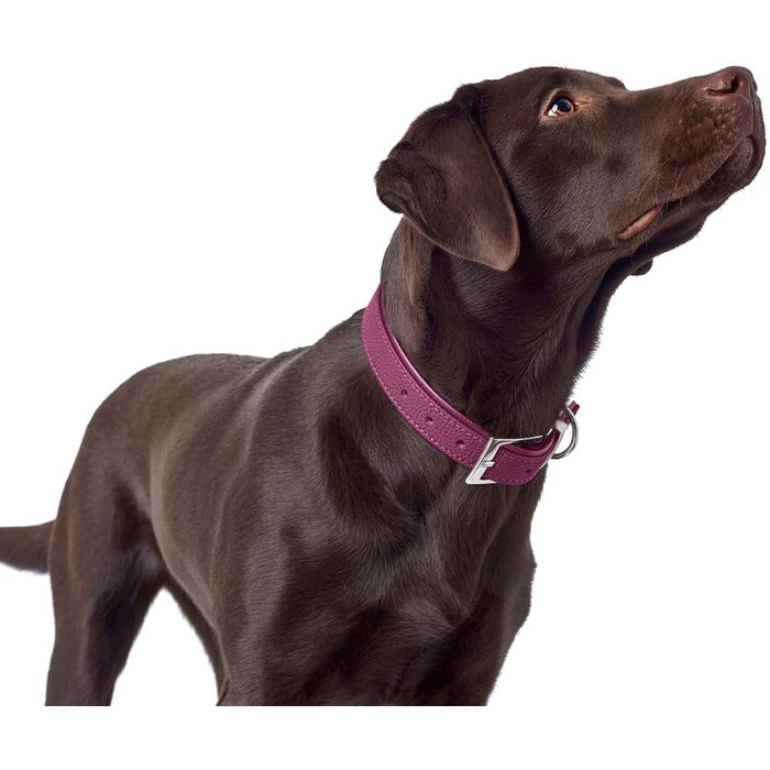 Ошийник для собак HUNTER Sofia, колір малиновий, штучна шкіра з виглядом бичачої шкіри, простий у догляді, яскравий колір, м'яко підбитий, стійкий до розривів, виготовлений у Німеччині, розмір 45 см