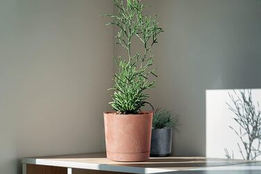 Горщик для квітів Tymar з блюдцем, 2 шт. , декоративний пластиковий горщик для рослин, сучасний, круглої форми, для внутрішнього в