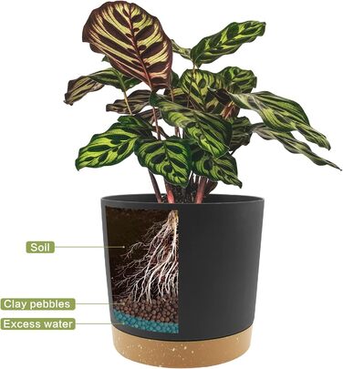 Квіткові горщики QCQHDU, 2 шт., 30,5 см, Квіткові горщики для кімнатних рослин з дренажними отворами та знімною основою, Сучасні декоративні блюдця для садових кашпо (темно-сірі, 30,5 см)