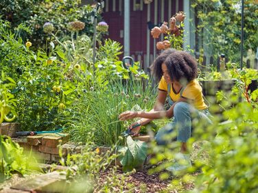 Садові ножиці Gardena ExpertCut Прецизійні ножиці для дерев, обхідний обріз гілок/гілок/фруктових дерев, максимальний діаметр різання 22 мм, 2-рівневе відкриття ручки (12203-20) Одинарні