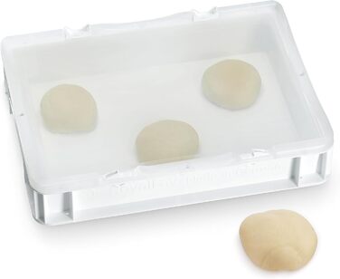 Коробка для тіста для піци 30408,5 см Коробка для тіста з харчового пластику з повітропроникною кришкою на петлях Штабелювана коробка для розстойки тіста для піци Зроблено в Німеччині 1 коробка 1 кришка