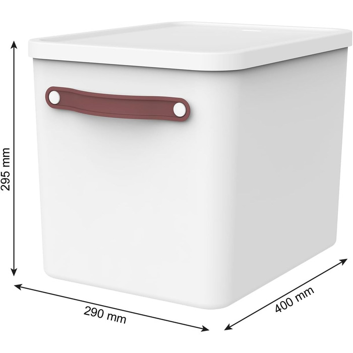 Набір Rotho MYPAPER для архівування документів MY PAPER Plus, набір, що складається з органайзера для документів та системи для архівування з роздільниками, пластик, білий з синіми папками Білий/Синій